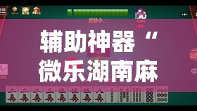 辅助神器“微乐湖南麻将小程序必赢神器免费	”其实确实有挂
