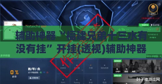 辅助神器“福建兄弟十三水有没有挂”开挂(透视)辅助神器