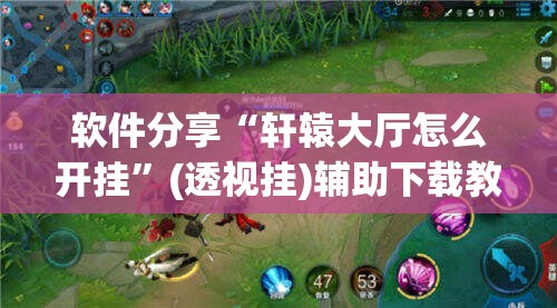 软件分享“轩辕大厅怎么开挂	”(透视挂)辅助下载教程