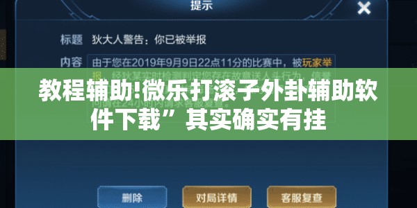 教程辅助!微乐打滚子外卦辅助软件下载	”其实确实有挂