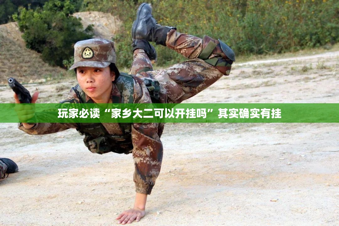 玩家必读“家乡大二可以开挂吗”其实确实有挂