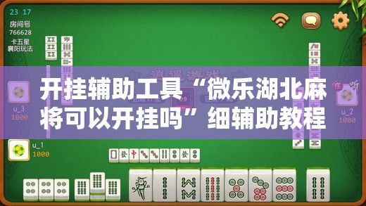 开挂辅助工具“微乐湖北麻将可以开挂吗”细辅助教程分享