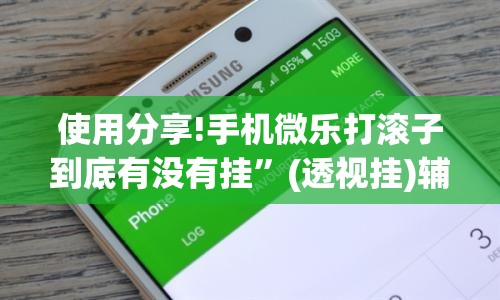 使用分享!手机微乐打滚子到底有没有挂”(透视挂)辅助下载教程