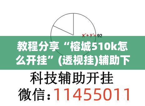 教程分享“榕城510k怎么开挂”(透视挂)辅助下载教程