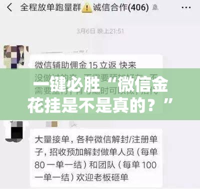 一键必胜“微信金花挂是不是真的？”细辅助教程分享