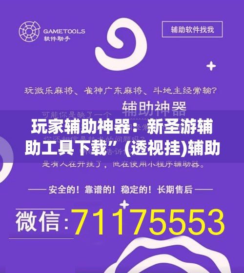 玩家辅助神器：新圣游辅助工具下载	”(透视挂)辅助下载教程