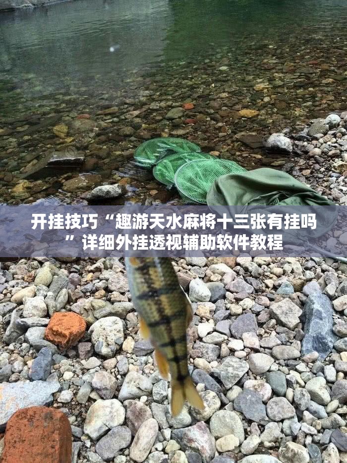 开挂技巧“趣游天水麻将十三张有挂吗”详细外挂透视辅助软件教程