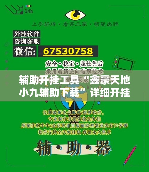 辅助开挂工具“鑫豪天地小九辅助下载	”详细开挂教程