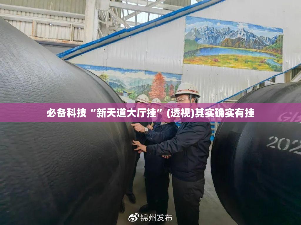 必备科技“新天道大厅挂	”(透视)其实确实有挂