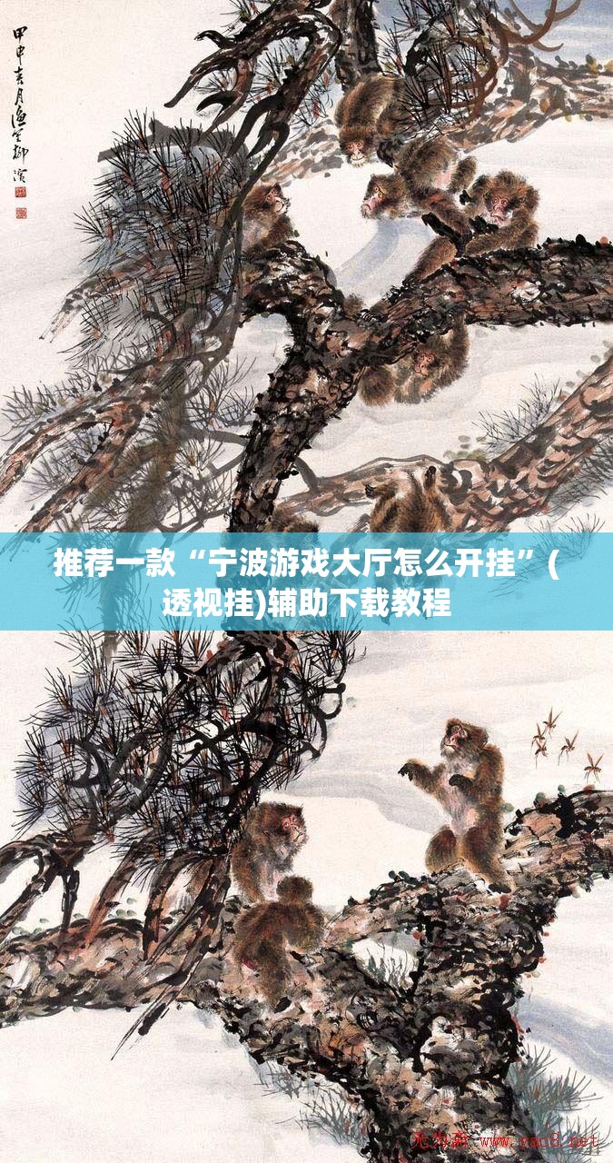 推荐一款“宁波游戏大厅怎么开挂”(透视挂)辅助下载教程