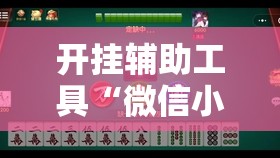 开挂辅助工具“微信小程序微乐山东麻将万能开挂神器”详细外挂透视辅助软件教程