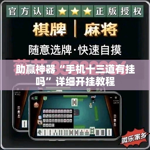 助赢神器“手机十三道有挂吗”详细开挂教程