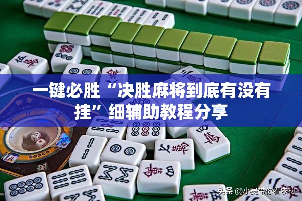 一键必胜“决胜麻将到底有没有挂”细辅助教程分享