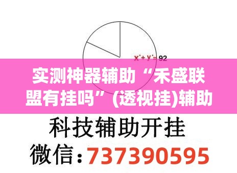 实测神器辅助“禾盛联盟有挂吗”(透视挂)辅助下载教程
