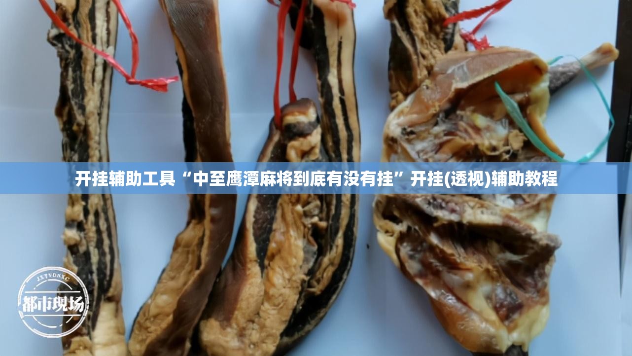 开挂辅助工具“中至鹰潭麻将到底有没有挂”开挂(透视)辅助教程