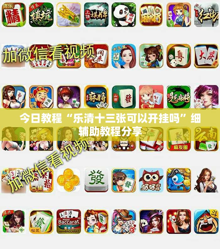 今日教程“乐清十三张可以开挂吗”细辅助教程分享