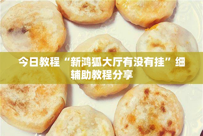 今日教程“新鸿狐大厅有没有挂	”细辅助教程分享