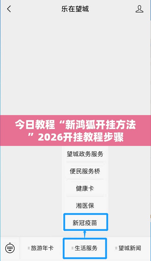 今日教程“新鸿狐开挂方法”2026开挂教程步骤
