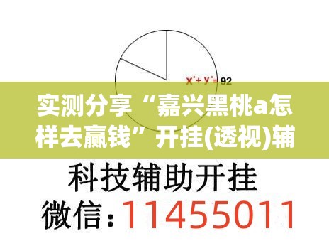 实测分享“嘉兴黑桃a怎样去赢钱”开挂(透视)辅助教程