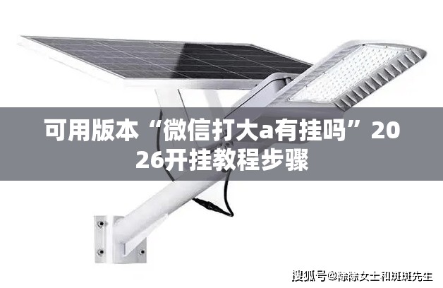 可用版本“微信打大a有挂吗”2026开挂教程步骤