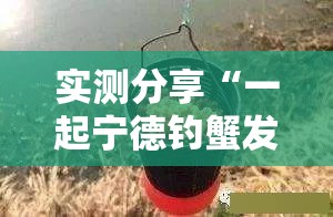 实测分享“一起宁德钓蟹发牌规律	”详细外挂透视辅助软件教程
