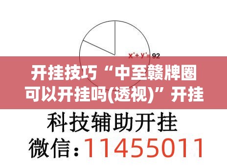 开挂技巧“中至赣牌圈可以开挂吗(透视)”开挂辅助脚本+详细开挂安装教程