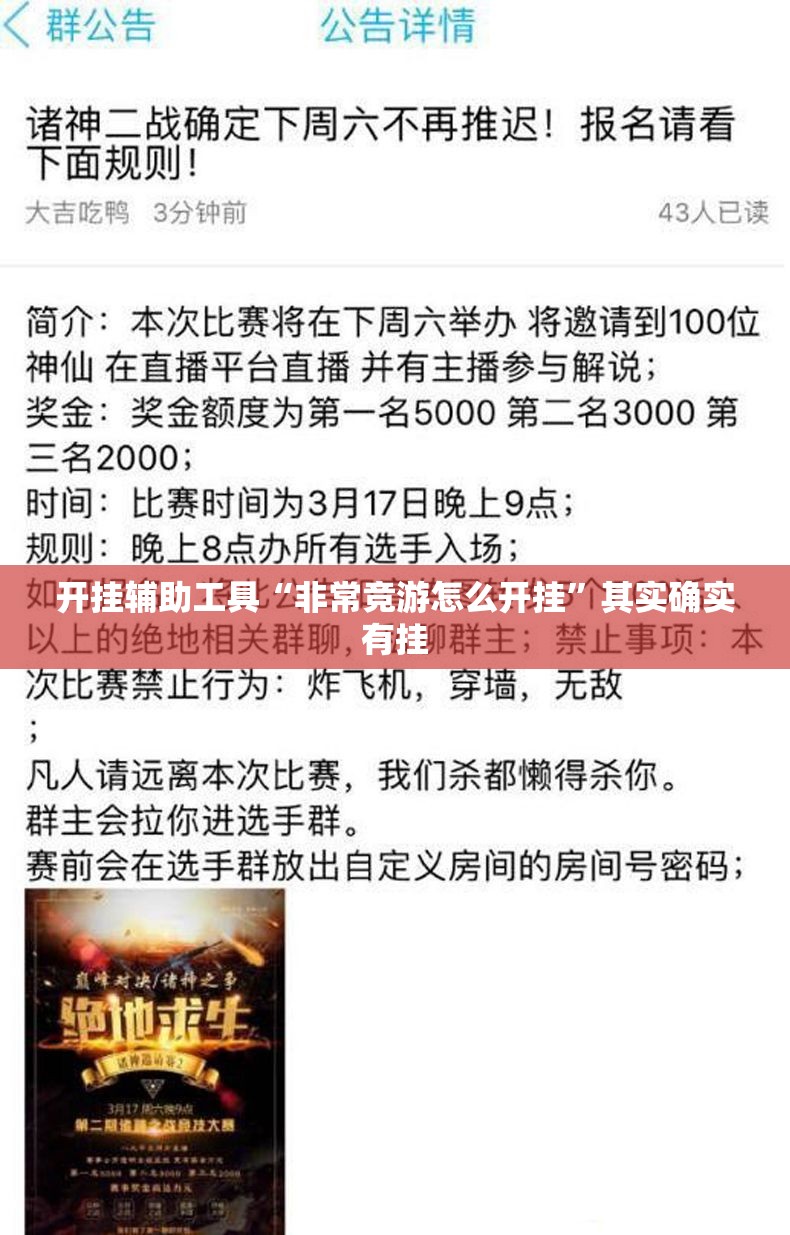 开挂辅助工具“非常竞游怎么开挂	”其实确实有挂
