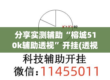 分享实测辅助“榕城510k辅助透视”开挂(透视)辅助教程