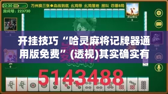 开挂技巧“哈灵麻将记牌器通用版免费	”(透视)其实确实有挂
