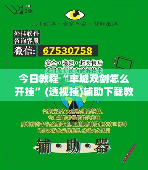 今日教程“丰城双剑怎么开挂”(透视挂)辅助下载教程