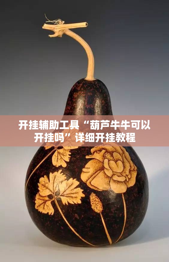 开挂辅助工具“葫芦牛牛可以开挂吗”详细开挂教程