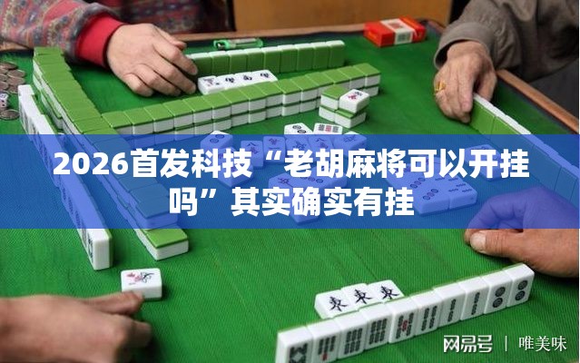 2026首发科技“老胡麻将可以开挂吗”其实确实有挂
