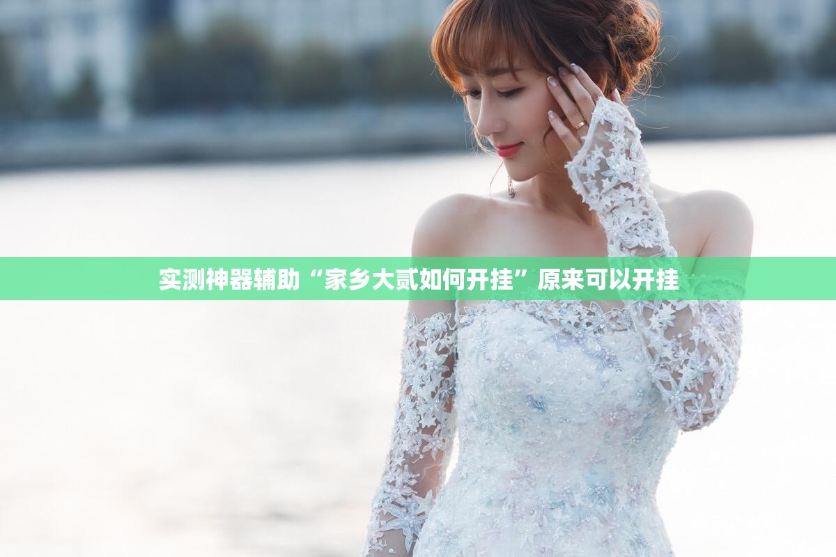 实测神器辅助“家乡大贰如何开挂”原来可以开挂