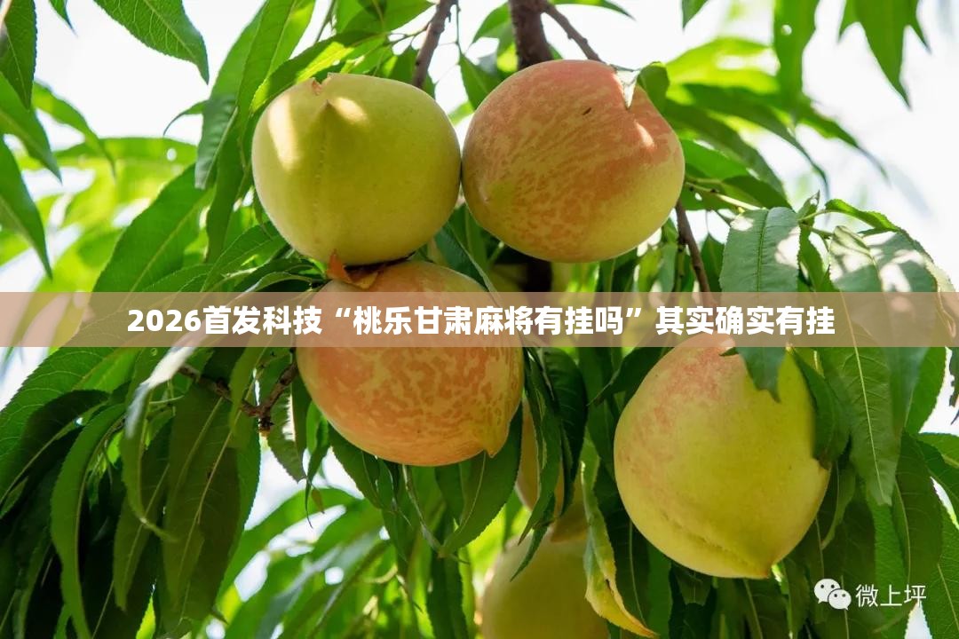 2026首发科技“桃乐甘肃麻将有挂吗”其实确实有挂