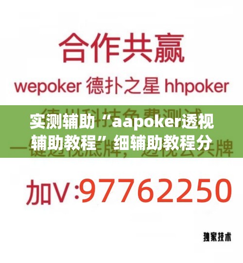 实测辅助“aapoker透视辅助教程”细辅助教程分享