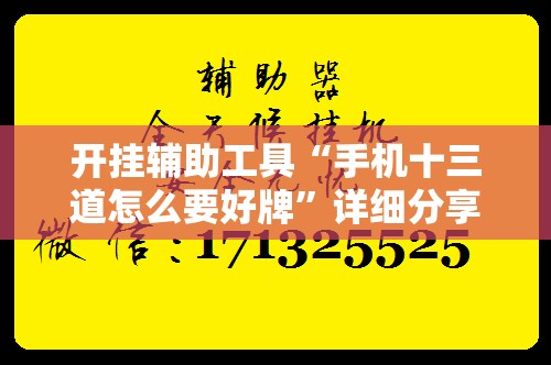 开挂辅助工具“手机十三道怎么要好牌	”详细分享装挂步骤