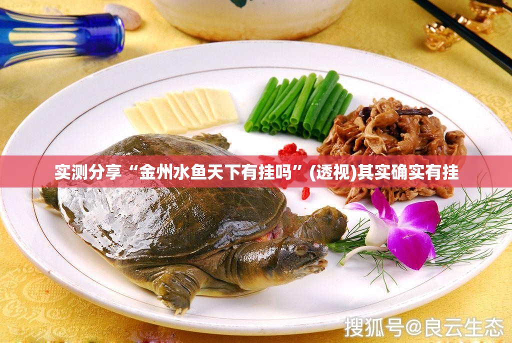 实测分享“金州水鱼天下有挂吗”(透视)其实确实有挂