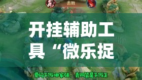 开挂辅助工具“微乐捉鸡开挂安卓系统免费”开挂详细教程