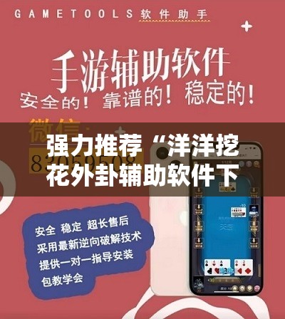 强力推荐“洋洋挖花外卦辅助软件下载”详细外挂透视辅助软件教程
