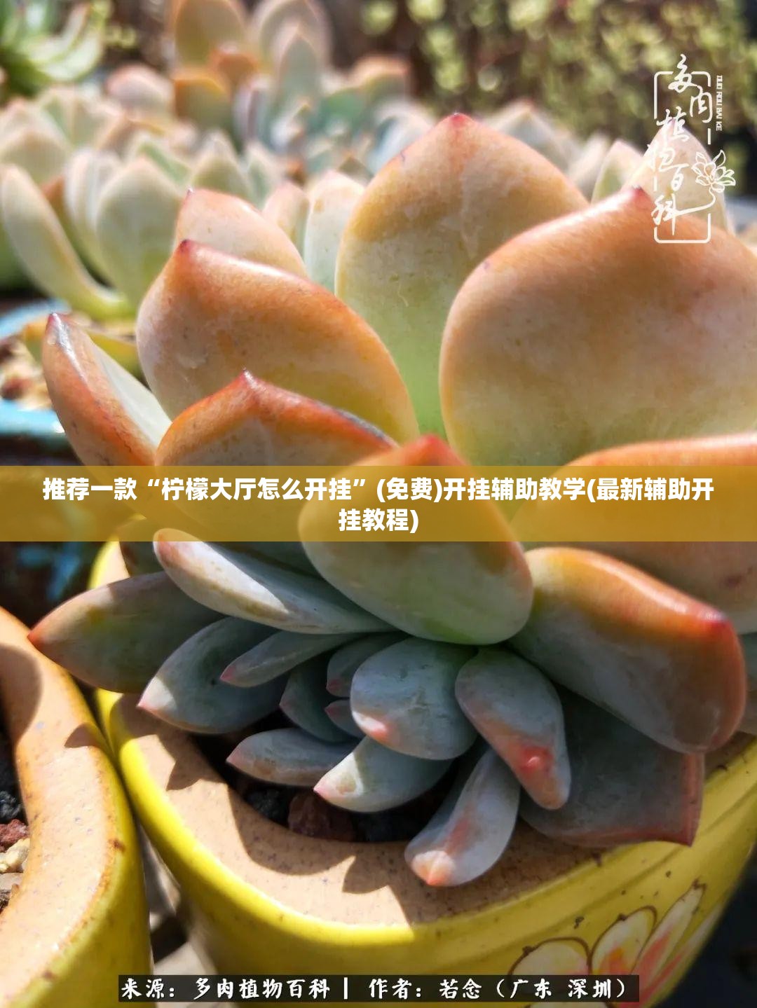 推荐一款“柠檬大厅怎么开挂	”(免费)开挂辅助教学(最新辅助开挂教程)