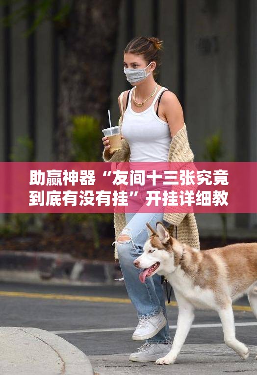 助赢神器“友间十三张究竟到底有没有挂”开挂详细教程