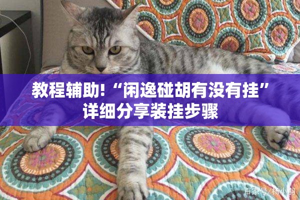 教程辅助!“闲逸碰胡有没有挂”详细分享装挂步骤