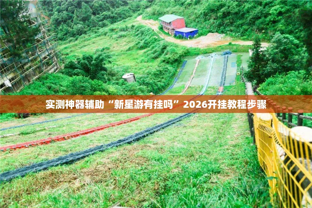 实测神器辅助“新星游有挂吗”2026开挂教程步骤