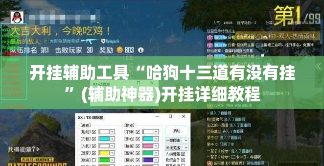 开挂辅助工具“哈狗十三道有没有挂	”(辅助神器)开挂详细教程