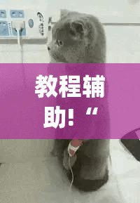 教程辅助!“微信打大a万能开挂神器”(辅助神器)开挂详细教程