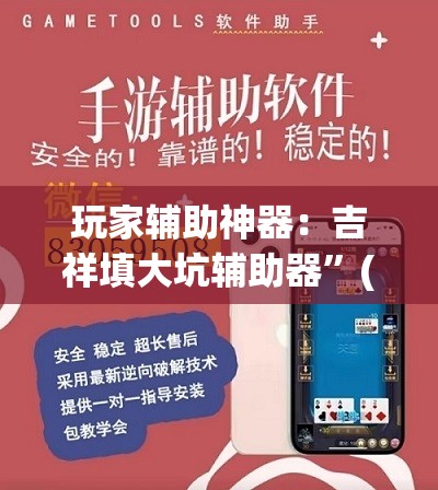玩家辅助神器：吉祥填大坑辅助器”(透视)其实确实有挂