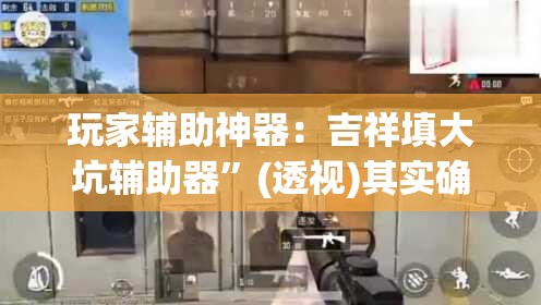 玩家辅助神器：吉祥填大坑辅助器”(透视)其实确实有挂