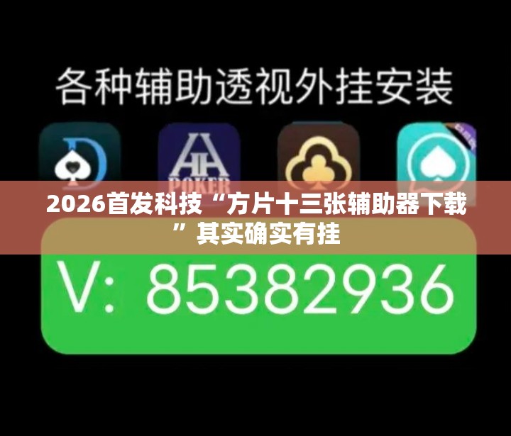 2026首发科技“方片十三张辅助器下载”其实确实有挂