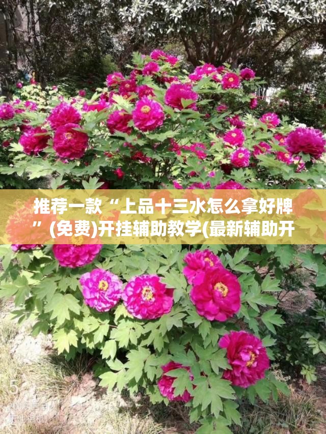 推荐一款“上品十三水怎么拿好牌”(免费)开挂辅助教学(最新辅助开挂教程)