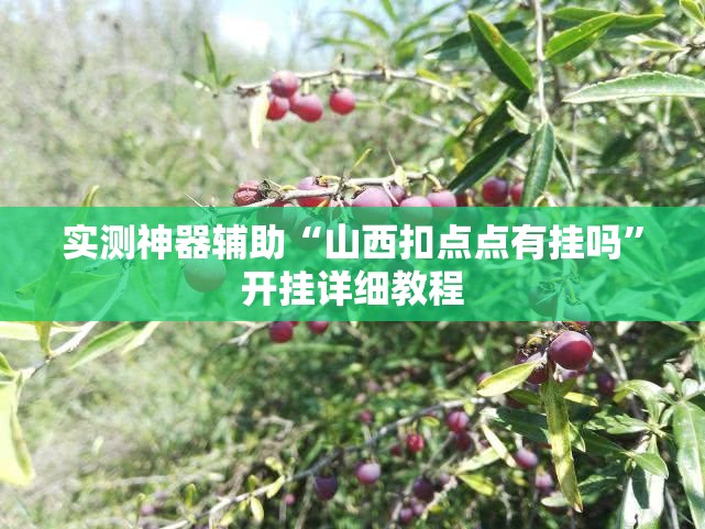 实测神器辅助“山西扣点点有挂吗”开挂详细教程